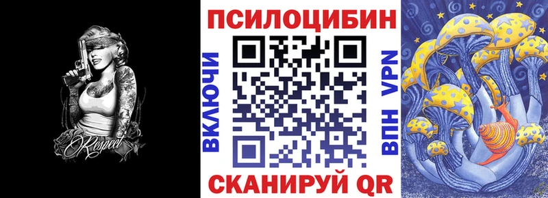 darknet как зайти  Гусь-Хрустальный  Галлюциногенные грибы GOLDEN TEACHER  ОМГ ОМГ как войти 