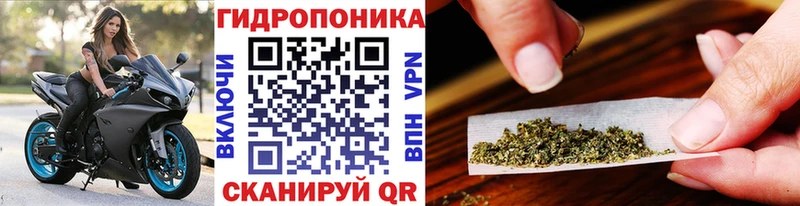 Бошки Шишки Bruce Banner  mega ссылки  Гусь-Хрустальный  продажа наркотиков 